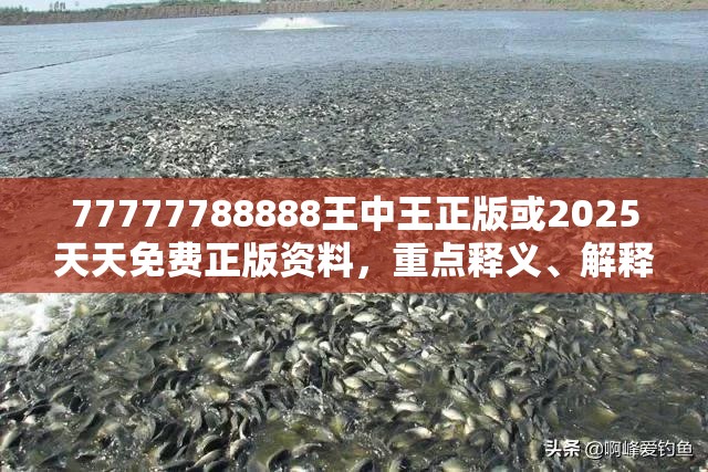 77777788888王中王正版或2025天天免费正版资料，重点释义、解释与落实,警惕不实的钓鱼钩